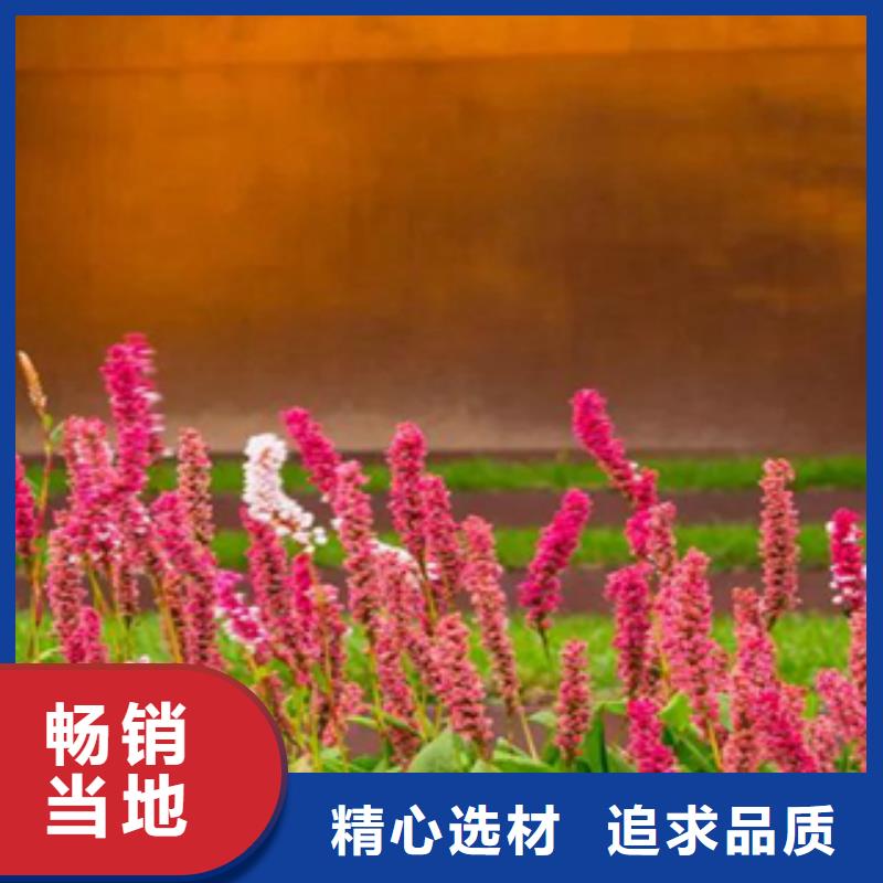耐候板优质合金钢本地供应商