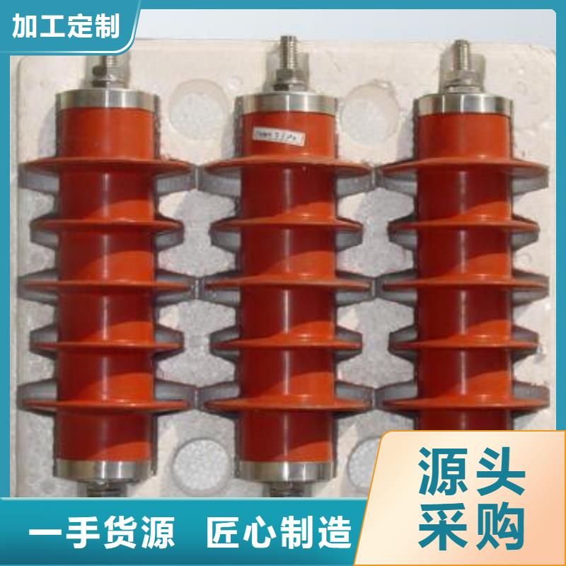电机型氧化锌避雷器HY5WD-20/45价格当地厂家值得信赖