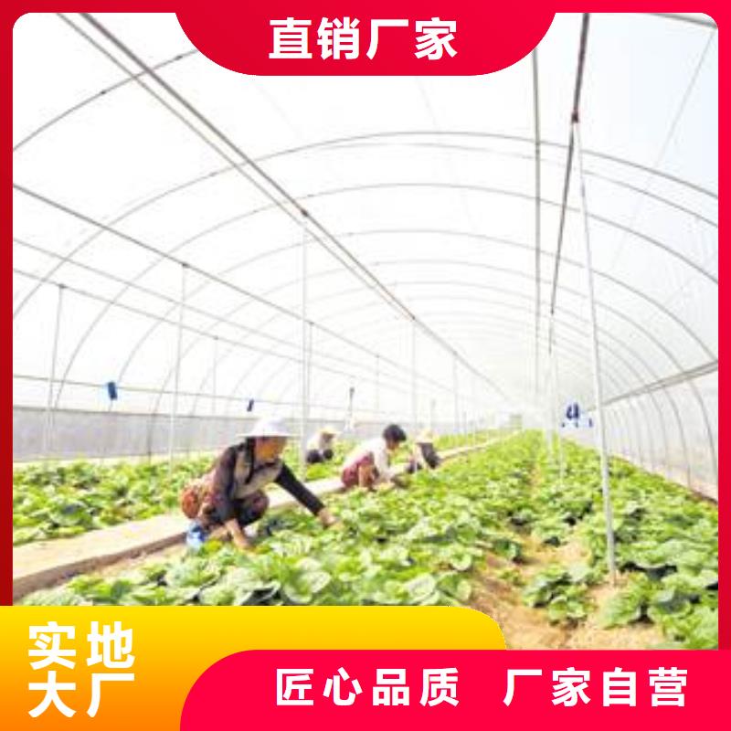 昌江草莓大棚管型号全2025库存充足
