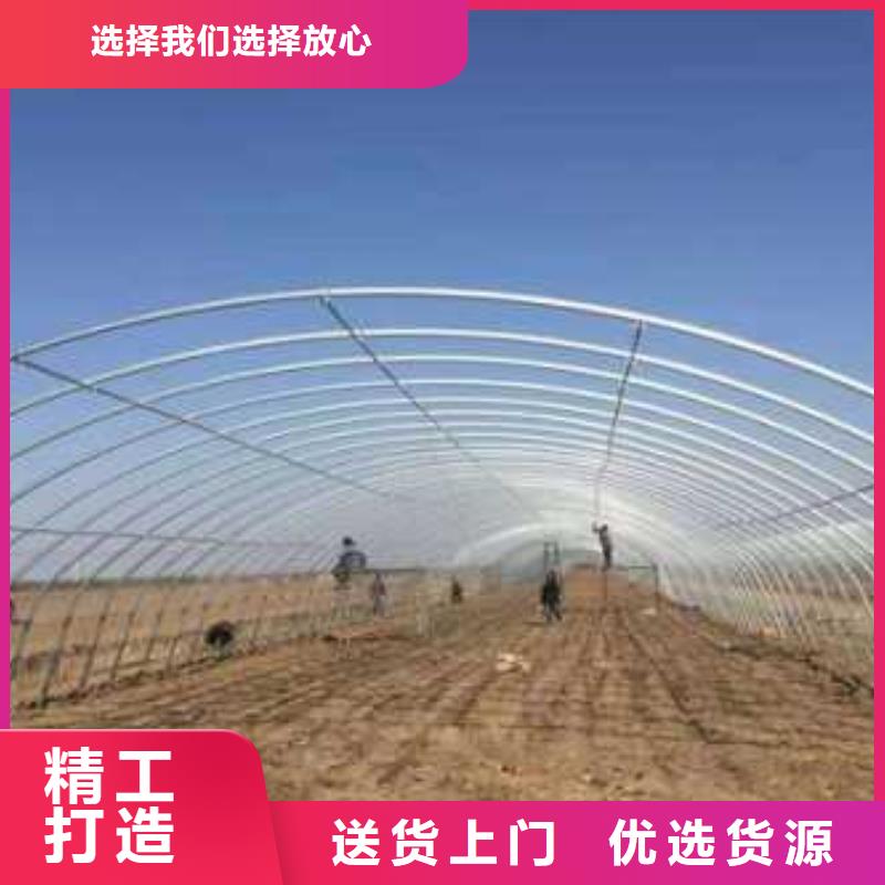 三山柑橘大棚管介绍来图定制同城供应商