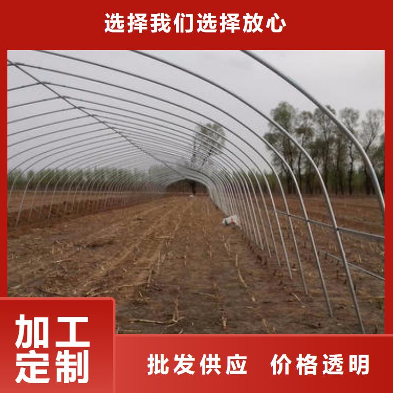 云溪区镀锌大棚管配件实时报价、本地供应商