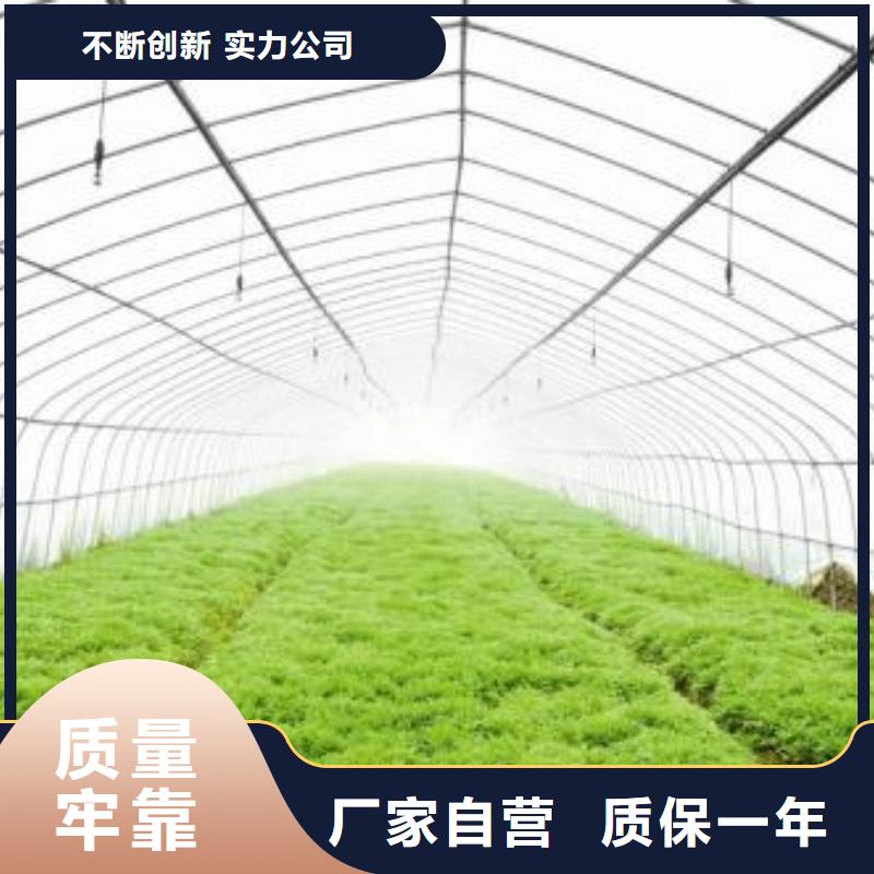 蔬菜大棚镀锌管4-12米可定尺同城服务商