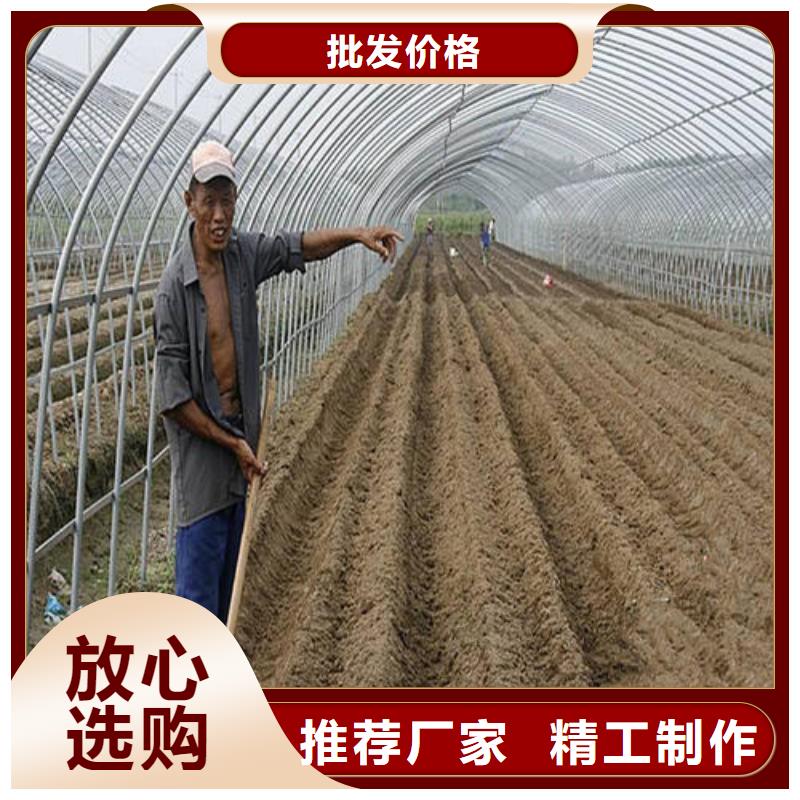 平江县连体定尺大棚管使用寿命长等优点。检验发货
