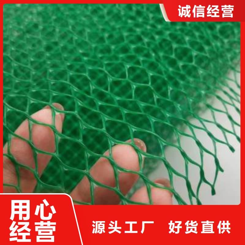 多规格三维植被网实力厂家/现货供应匠心品质