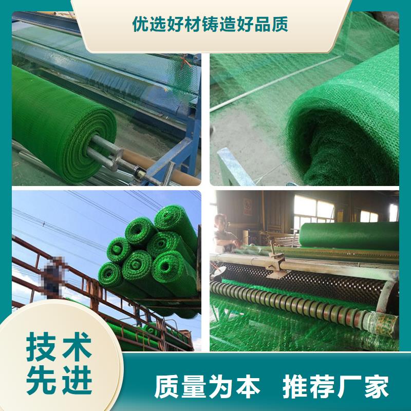 2025国标三维植被网多规格可定制免费安装