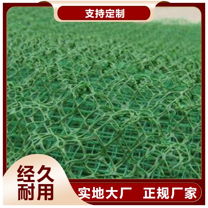 塑料三维植被网生产厂家哪家好源头厂家供应