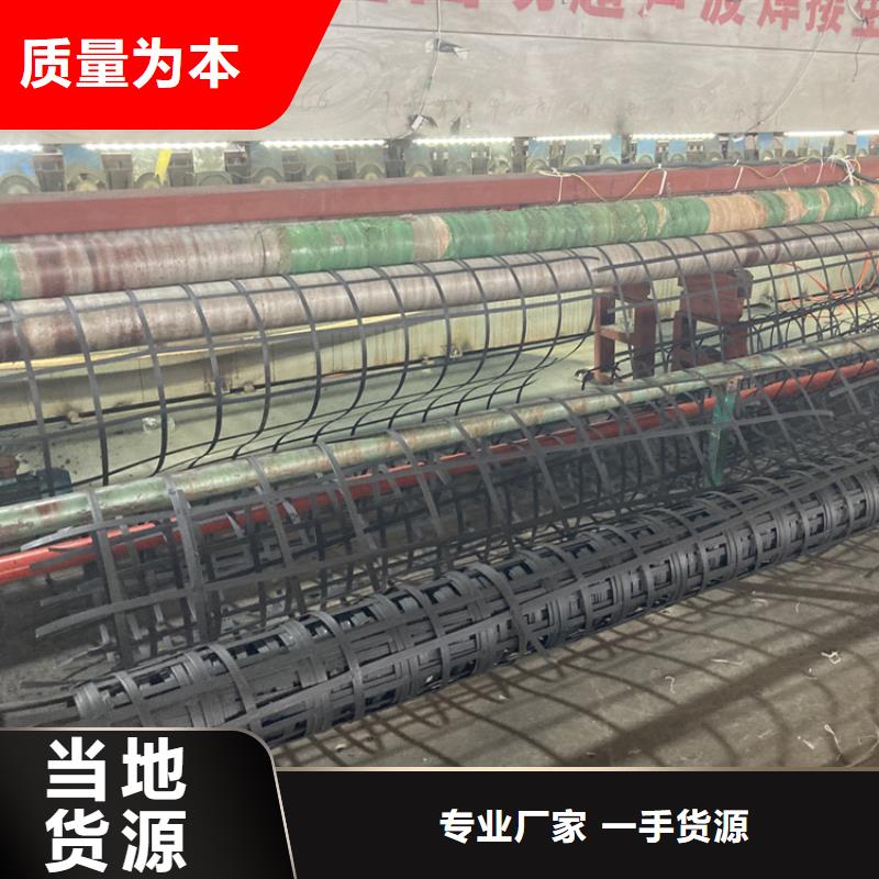 钢塑土工格栅厂家路基加固矿洞防护本地品牌