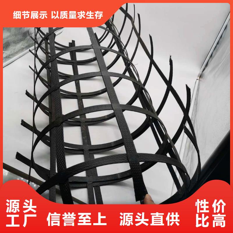 钢塑格栅玻纤格栅路基加固矿洞防护实力商家