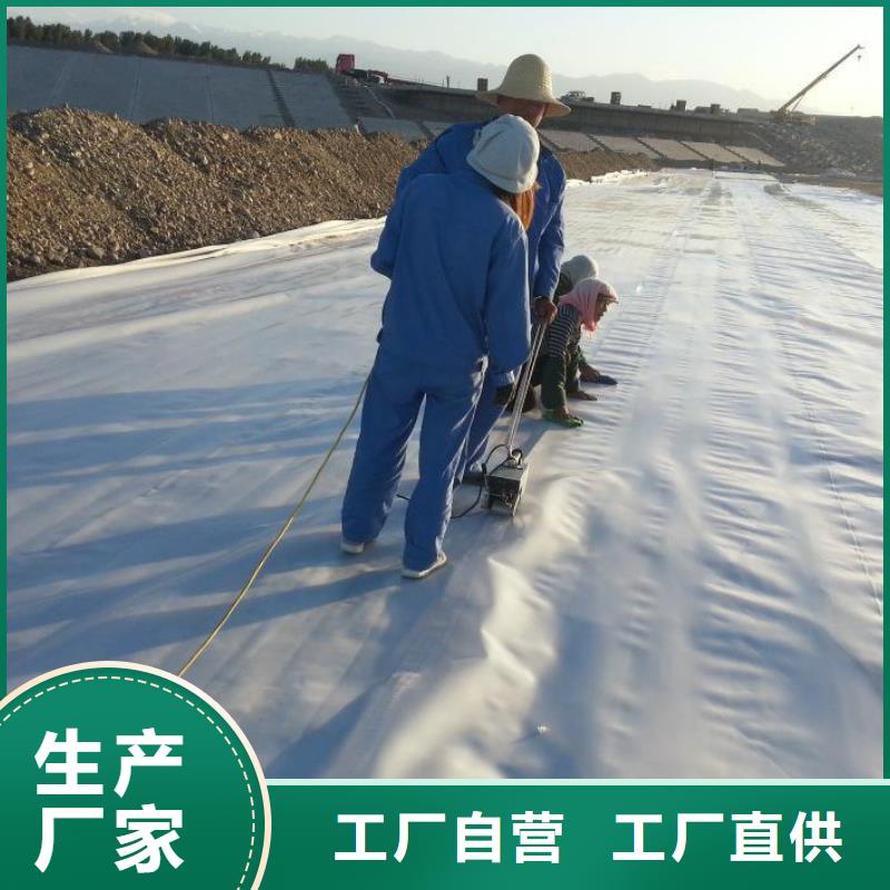 垃圾填埋场土工膜垃圾覆盖膜厂家源头厂家供应