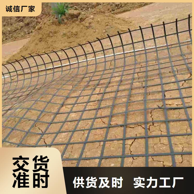 哪里有卖钢塑格栅的厂家多年行业经验