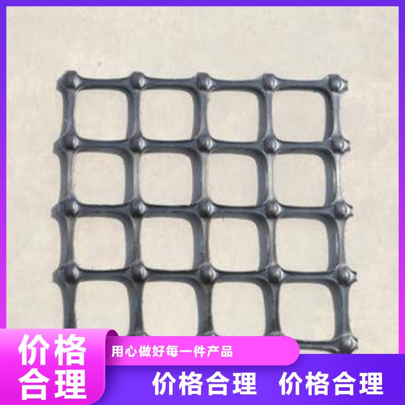 双向塑料格栅——加工定制本地货源