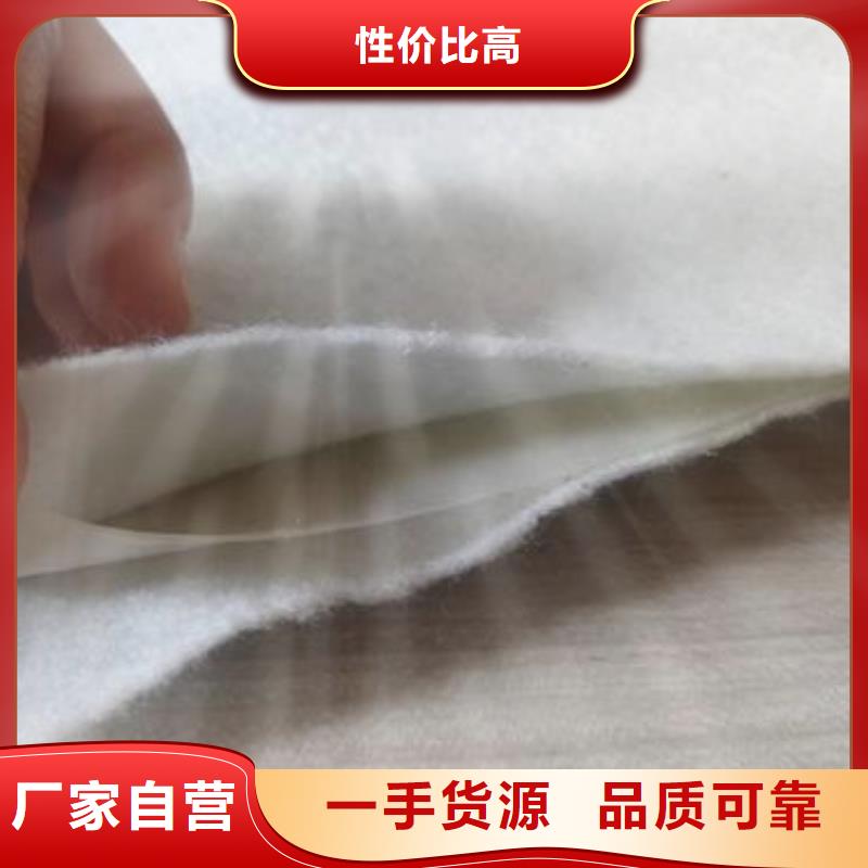河道护坡土工膜耐老化土工膜规格齐全用心做品质