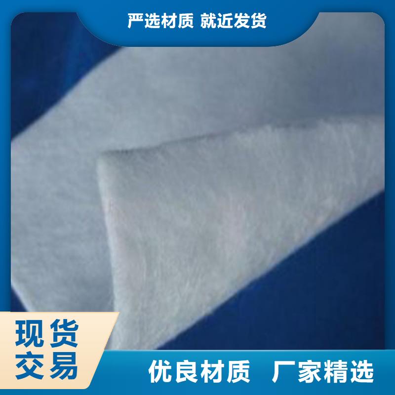 垃圾填埋场用土工布本地服务商