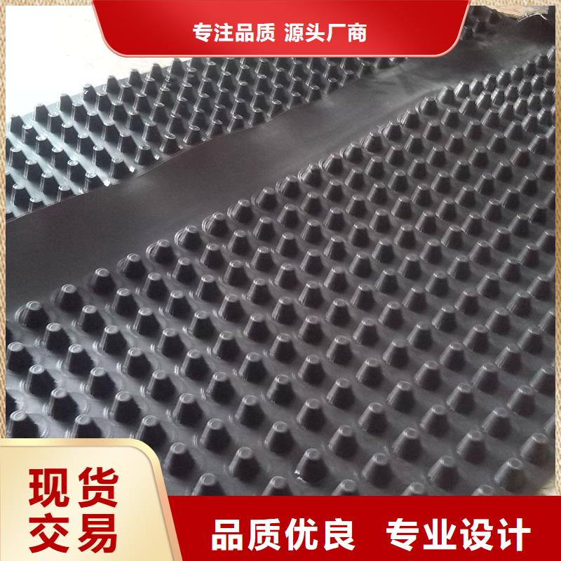 陵水县排水板价格厂家同城生产商