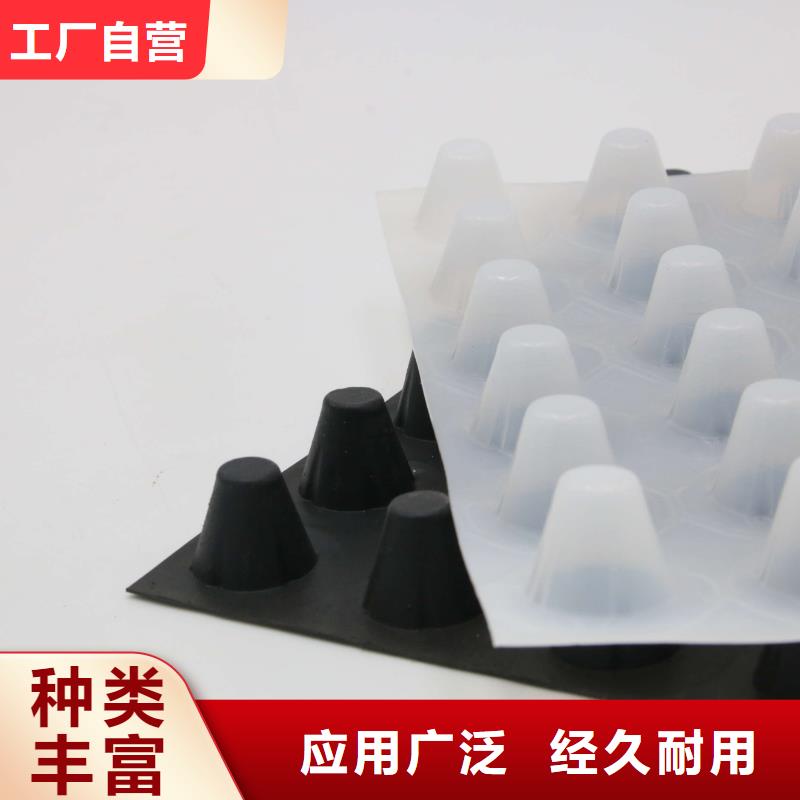 塑料排水板的特质,厂家直销省心省钱