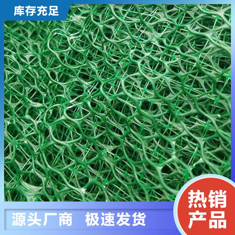 护坡植草三维土工网垫生产厂家助您降低采购成本
