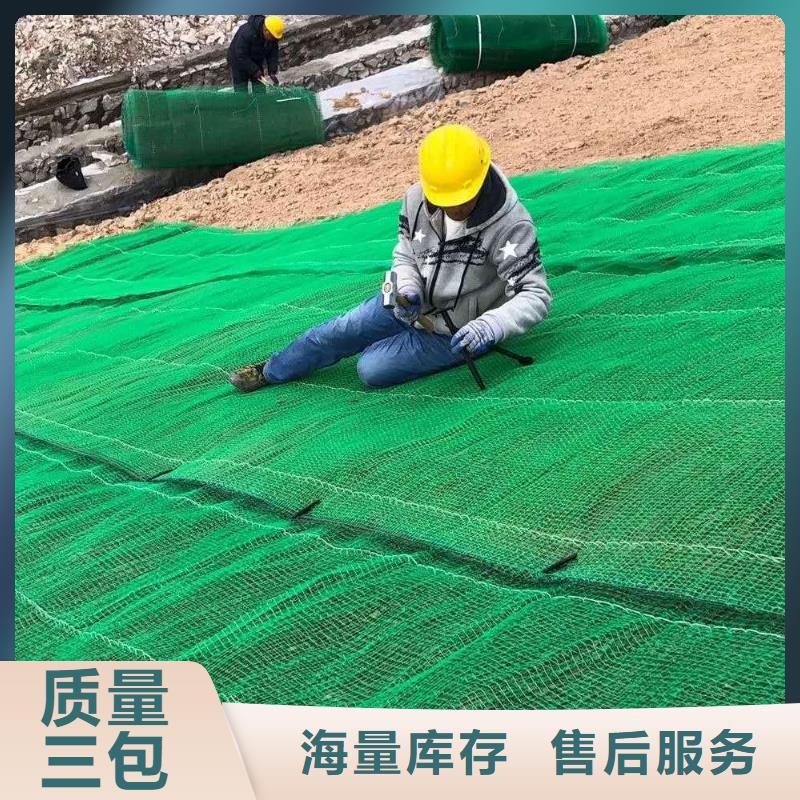 三维土工网垫三维植被网厂家植草护坡网当地服务商