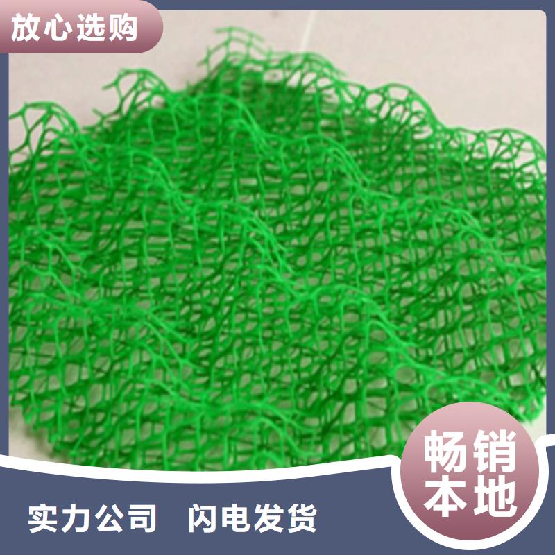 东方市三维土工网垫价格当地品牌