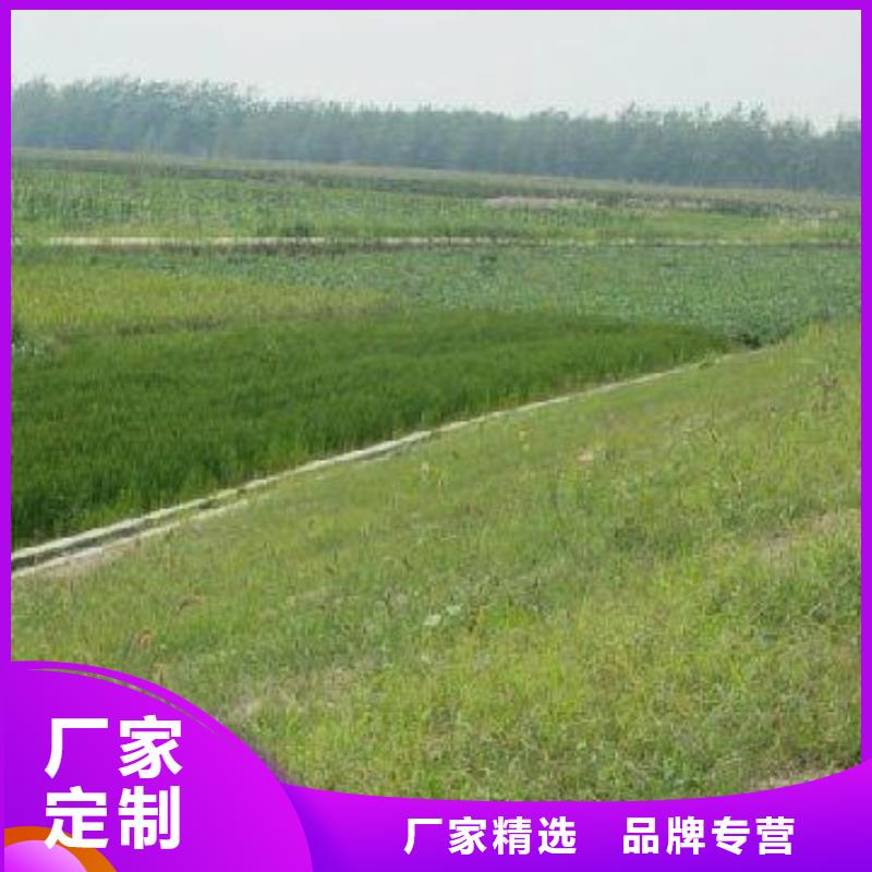 EM3三维土工网垫厂家品质做服务