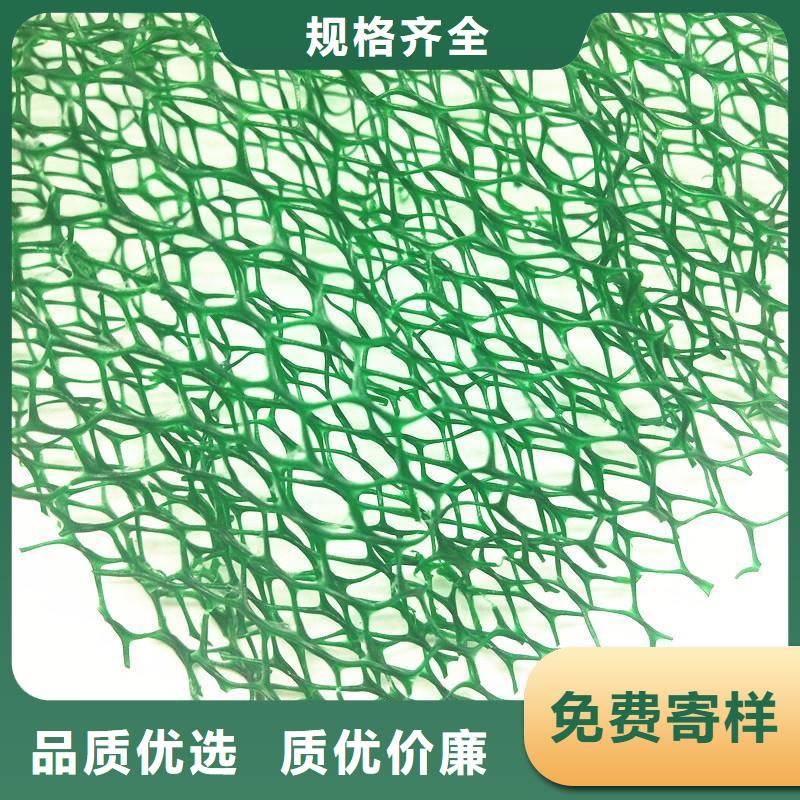 喷播植草护坡三维网同城供应商