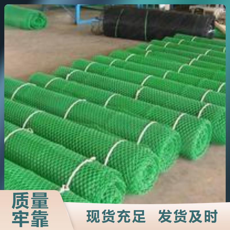 三维植被网加筋土工网垫EM3植被网护坡加筋本地生产商