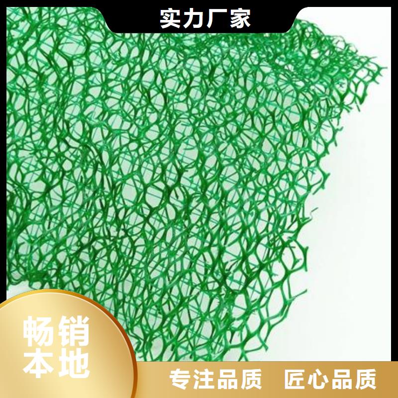三维植被网防止水土流失同城品牌