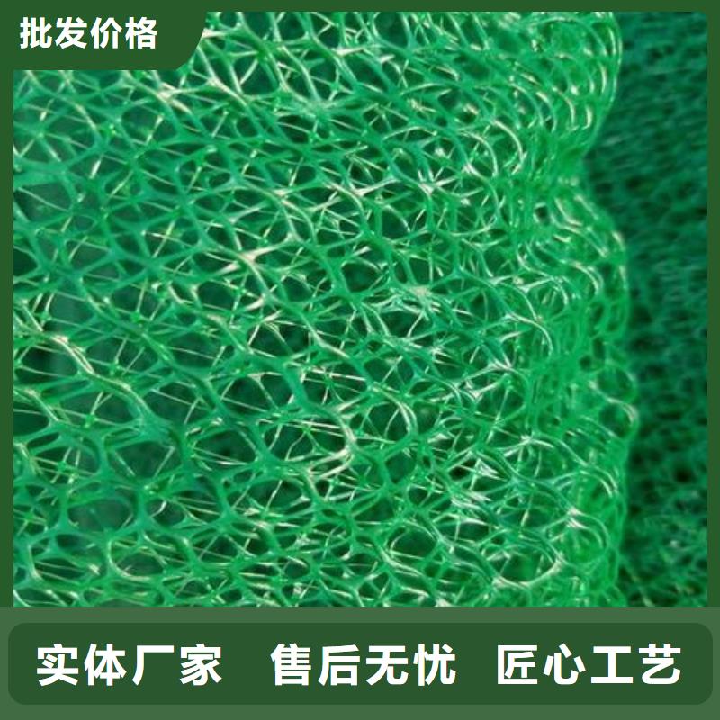 三维土工网垫厂家‘本地厂家