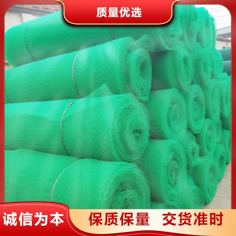 绿色三维网生产三维植被网生产专业生产设备