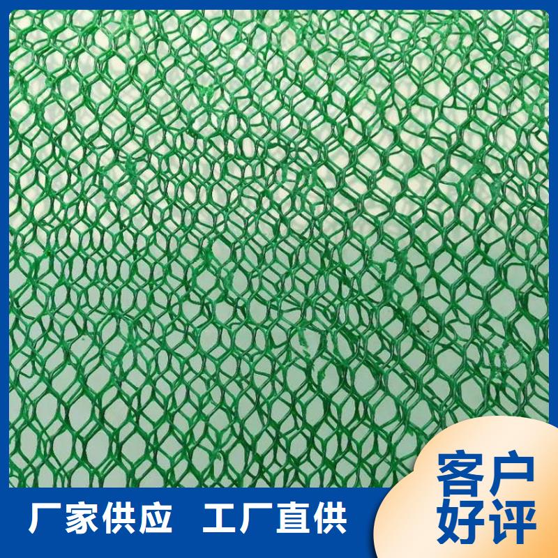 三维植被网厂家供应N年生产经验