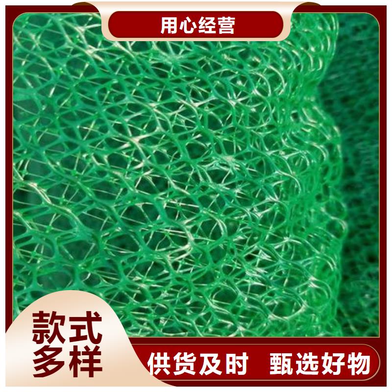 三维土工网垫厂家销售当地货源