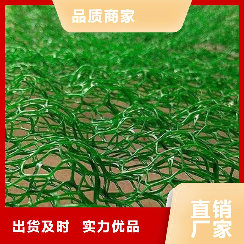 em3三维植被网抗侵蚀耐老化加工定制