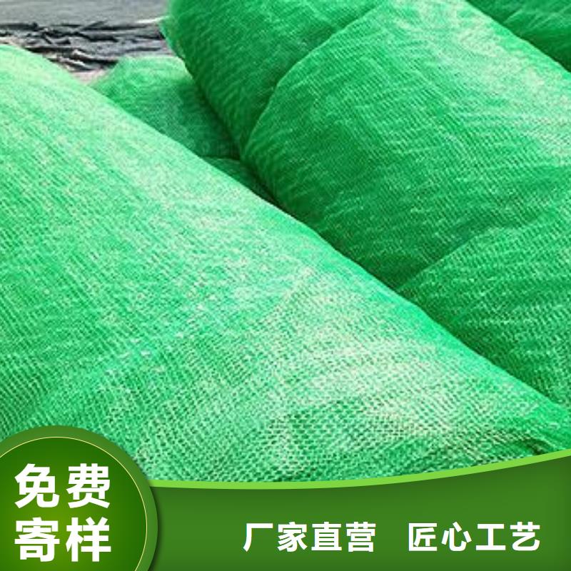 喷播植草护坡三维网好产品价格低