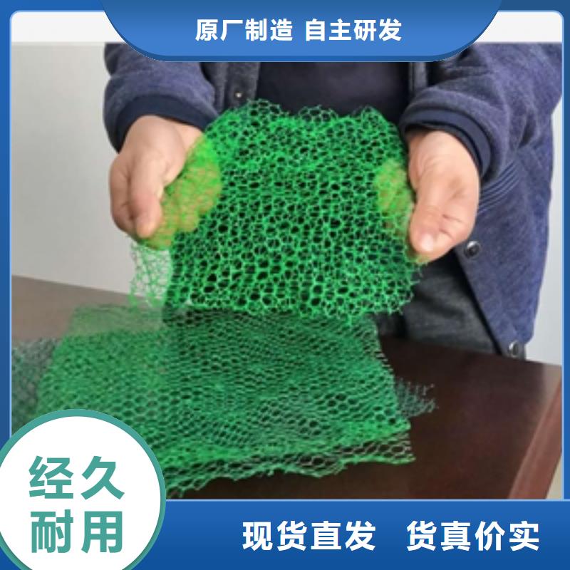 三维网垫厂家-三维植被网生产厂家今年新款