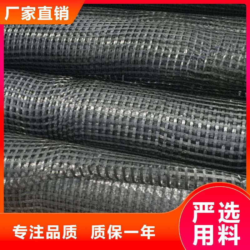 玻纤土工格栅现货发售同城生产厂家