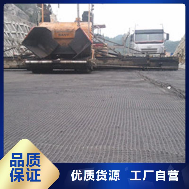 定安县哪里卖钢塑土工格栅-怎么买支持加工定制