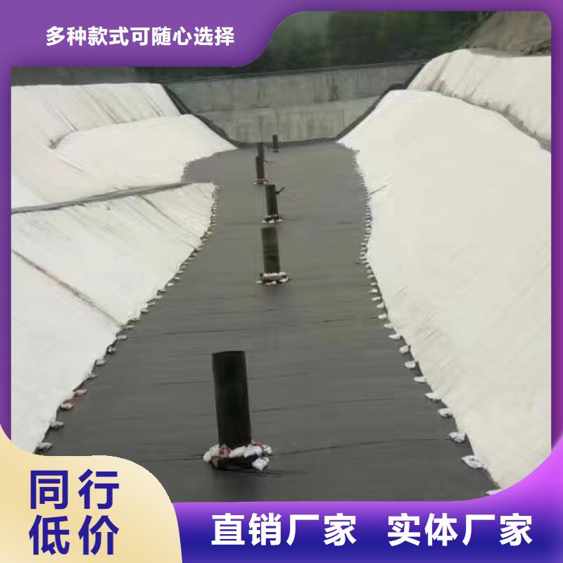 土工膜实力大厂来电免费提供样品当地制造商