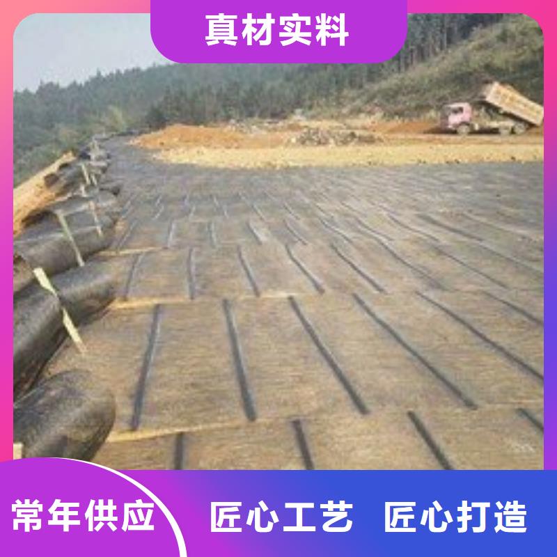 土工格栅单向土工格栅-边坡防护-挡土墙本地生产商