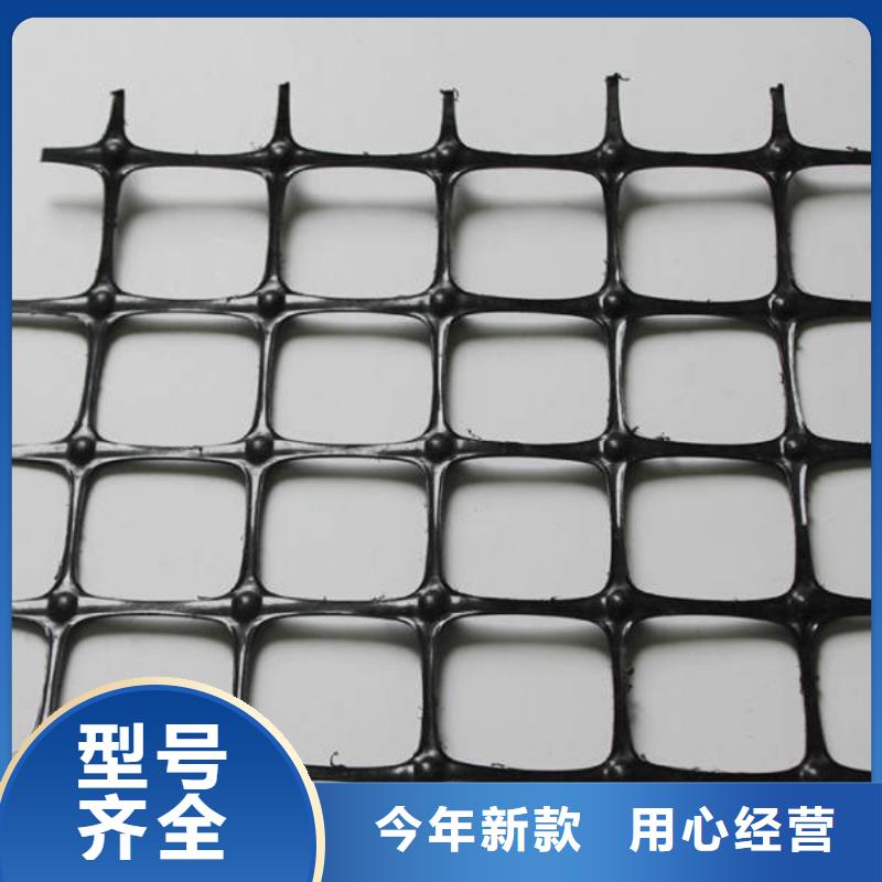土工格栅单向土工格栅-边坡防护-挡土墙本地生产厂家