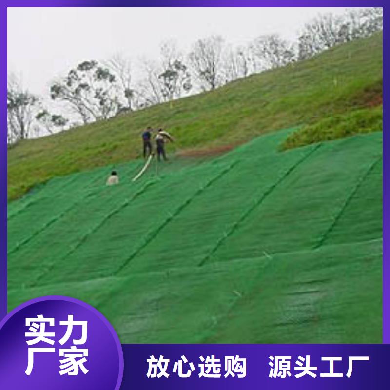 护坡种草三维植被网生产厂家收费标准同城生产商