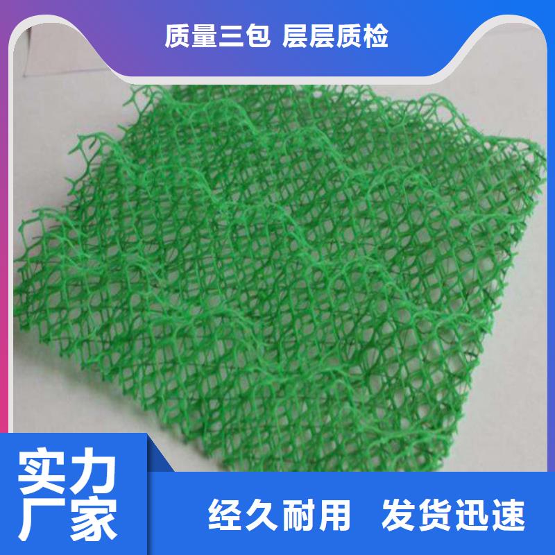 边坡防护三维植被网——集团公司-2025新行情符合标准