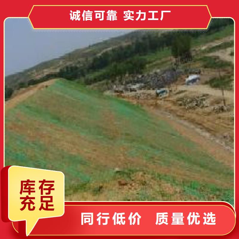 三维植被网_高性价比三维植被网_选择亿路通新材料本地服务商