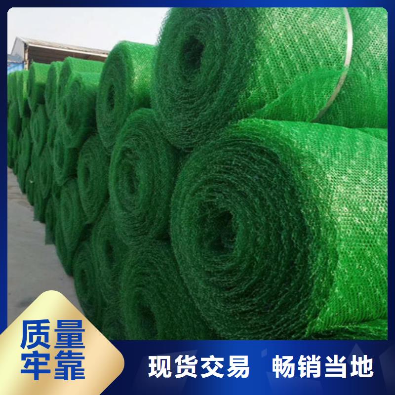 边坡防护三维植被网——集团公司-2025新行情物美价优