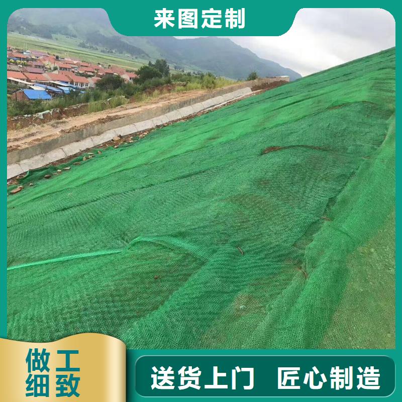 三维土工网垫_三维植被网2025年价格表产品性能