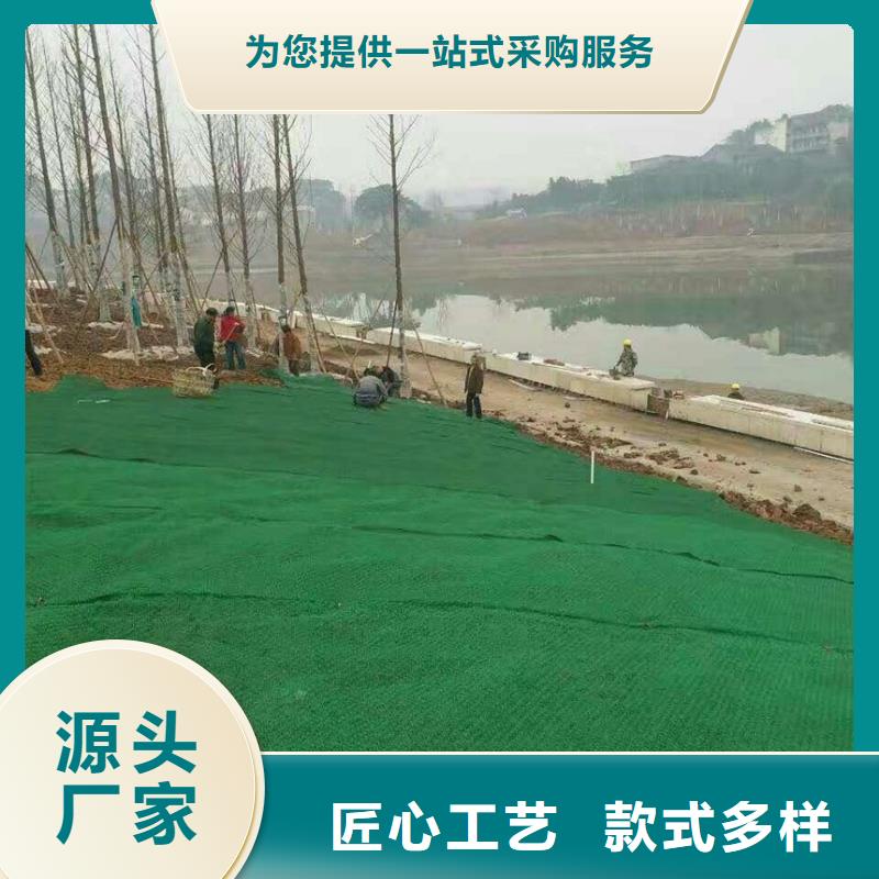 三维植被网2025发售价多少EM4三维土工植被网批发价格三维土工网垫——三维植被网2025年价格表源厂直接供货