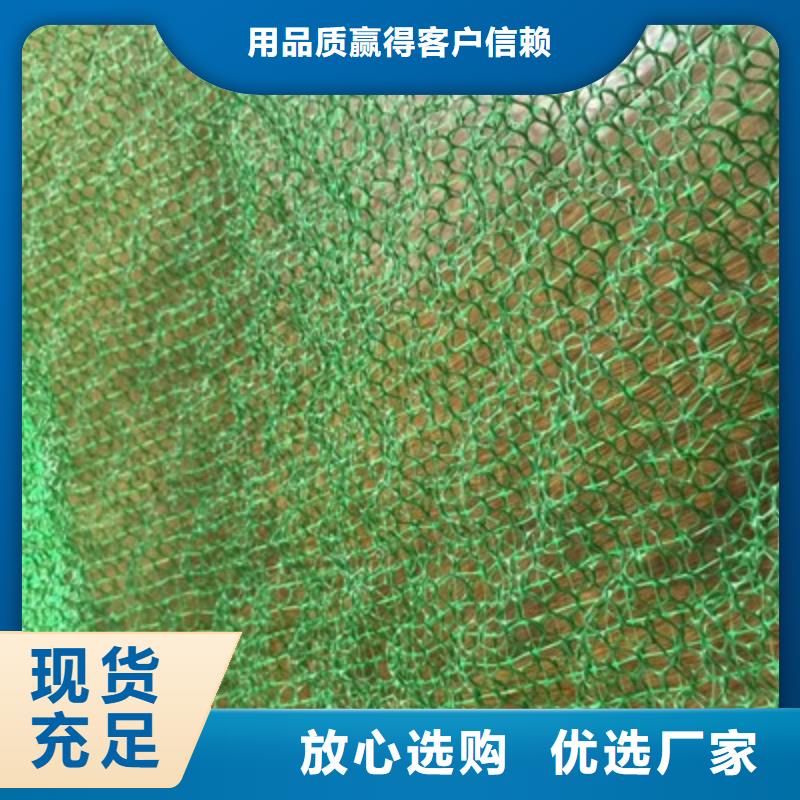 维植被网植草护坡施工方案三维植被网生产设备厂家_报价多少钱？批发价格