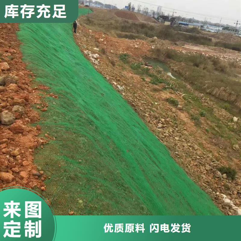 三维植被网垫生产商家厂家地址厂家拥有先进的设备