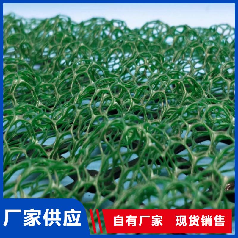 新型三维土工网垫规格性能参数海量现货
