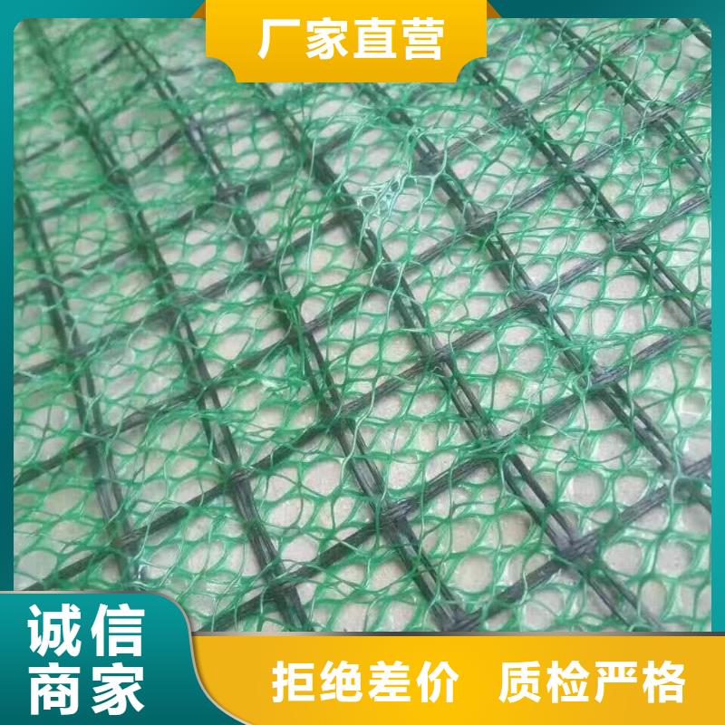 三维植被网生产厂家-2025年新价格行情同城厂家