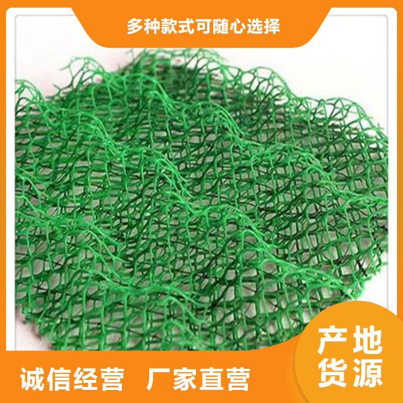 济源市EM3三维植被网哪里有卖？-厂家地址同城供应商