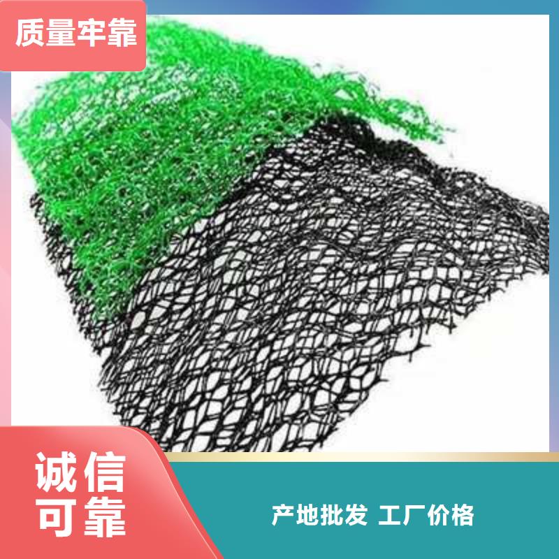 专业植草三维植被网_厂家直销_质优价廉源厂直接供货